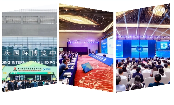 花季传媒网站链接免费服饰集团共商未来·共促发展.png